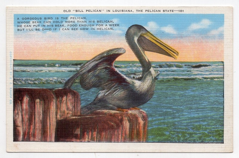 1940s? Linen - CLOSEOUT - Poem, Old Bill Pelican - Louisiana