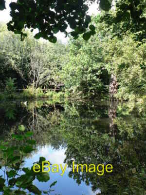 Photo 6x4 Bexley: pond at Danson Park A still pond producing striking ref c2008