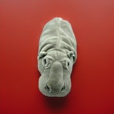 Baby Hippo Walt Disney World Realistic Stuffed Plush Gray Blue Eyes 15 Moo Deng