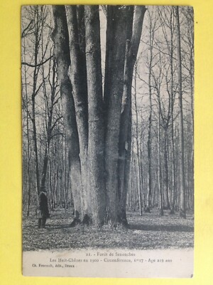 Old postcard FRANCE Le Perche 28 - FOREST de SENONCHES TREE TREELes 8 Oaks in 1900