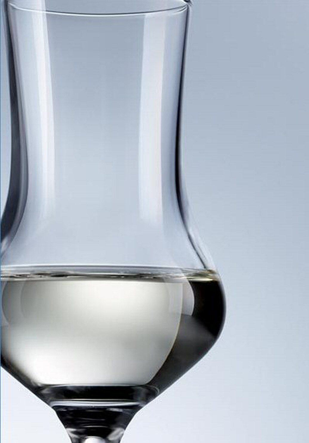 6 Grappagläser SCHOTT ZWIESEL BAR SPECIAL (Classico) 155 Schnaps- Obstbrand-Glas