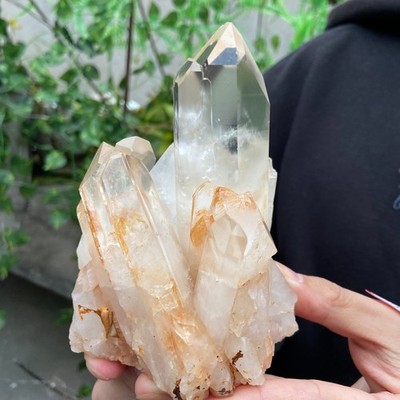 1.4lb Natural Clear white crystal cluster point mineral specimen Chakras Healing