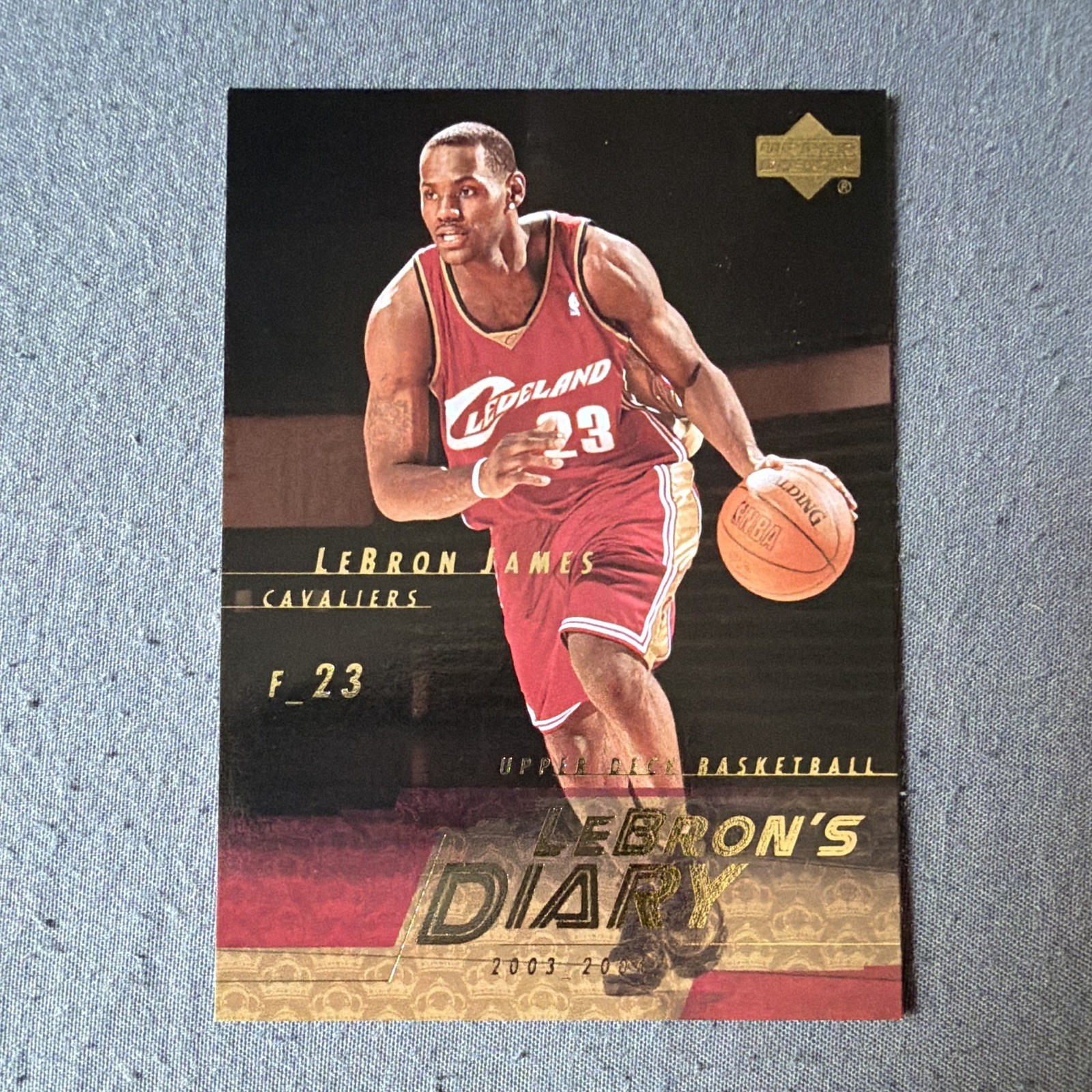Upper Deck 2003-04 LeBron's Diary LeBron James Cavaliers #LJ14 Insert