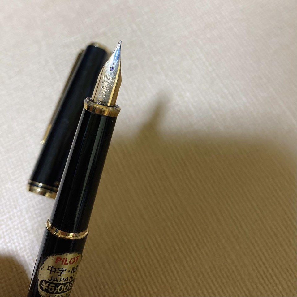Pilot Fountain Pen 14K eBay