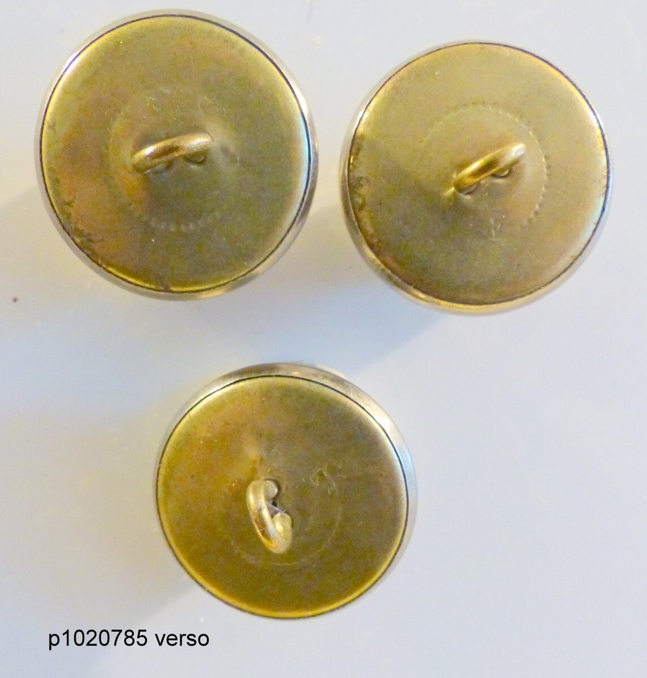 BOUTON CHASSE/VENERIE tete de SANGLIER (materiaux Bovin) 25 mm p1010605