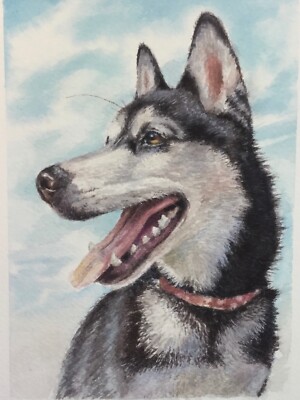 Custom Pet Portrait from Photo, Watercolor Painting, 9x12 , Realistic