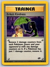 Image for Erika's Kindness