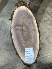 Black Walnut Cookie Slab #2374, live edge slab, unfinished, free shipping