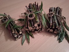 English Willow Sticks. Fresh cut 500g. Organic Chew Treats For small pets.