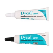 Dentsply DYCAL Radiopaque Calcium Hydroxide Composition STANDARD PACKAGE