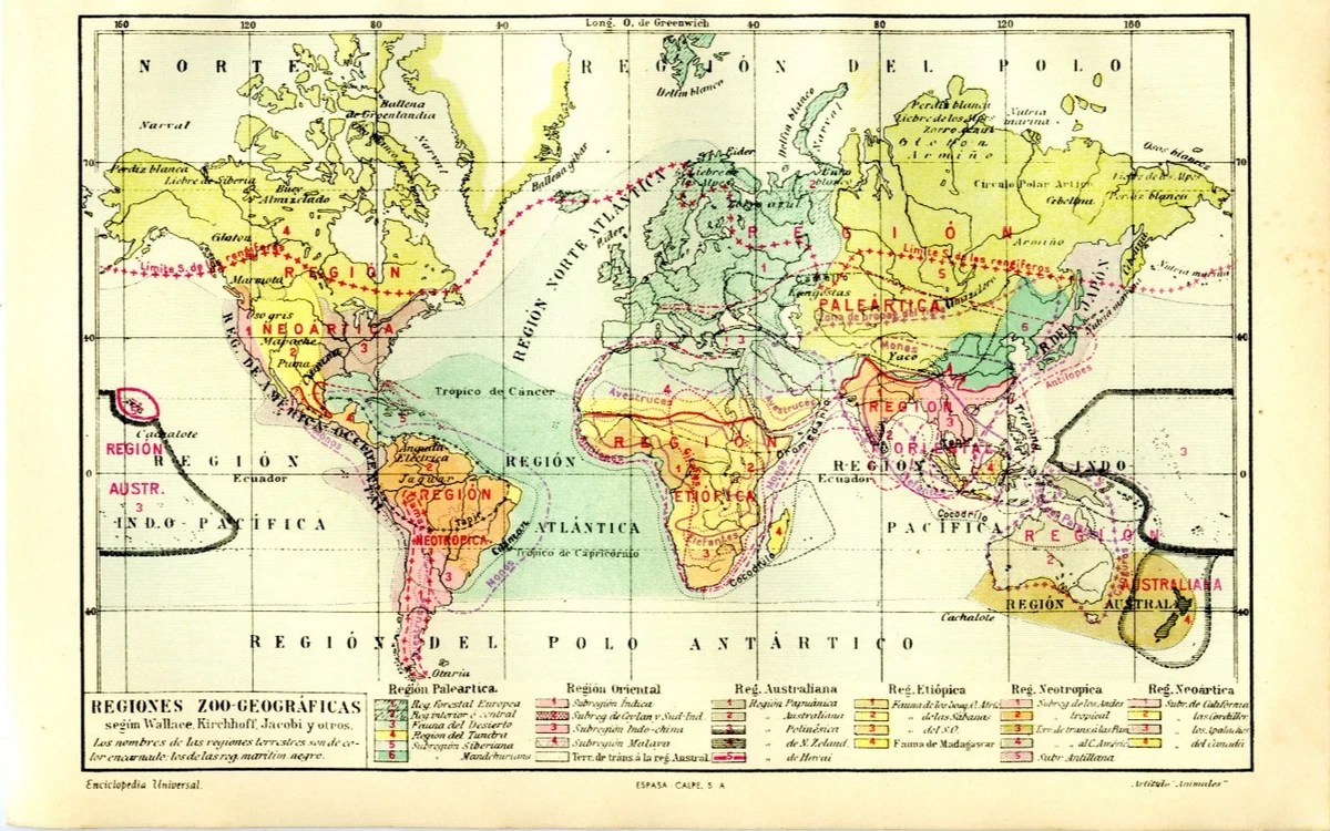 No.536『（英文）フィリップス版 携帯用世界地図』1923（大正12）年 1920-1929 Date Range Antique World Maps & Atlases for sale | eBay