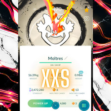 Pokémon Shiny Moltres XXS BG Go Fest 2026 | Tr-de Go ✨