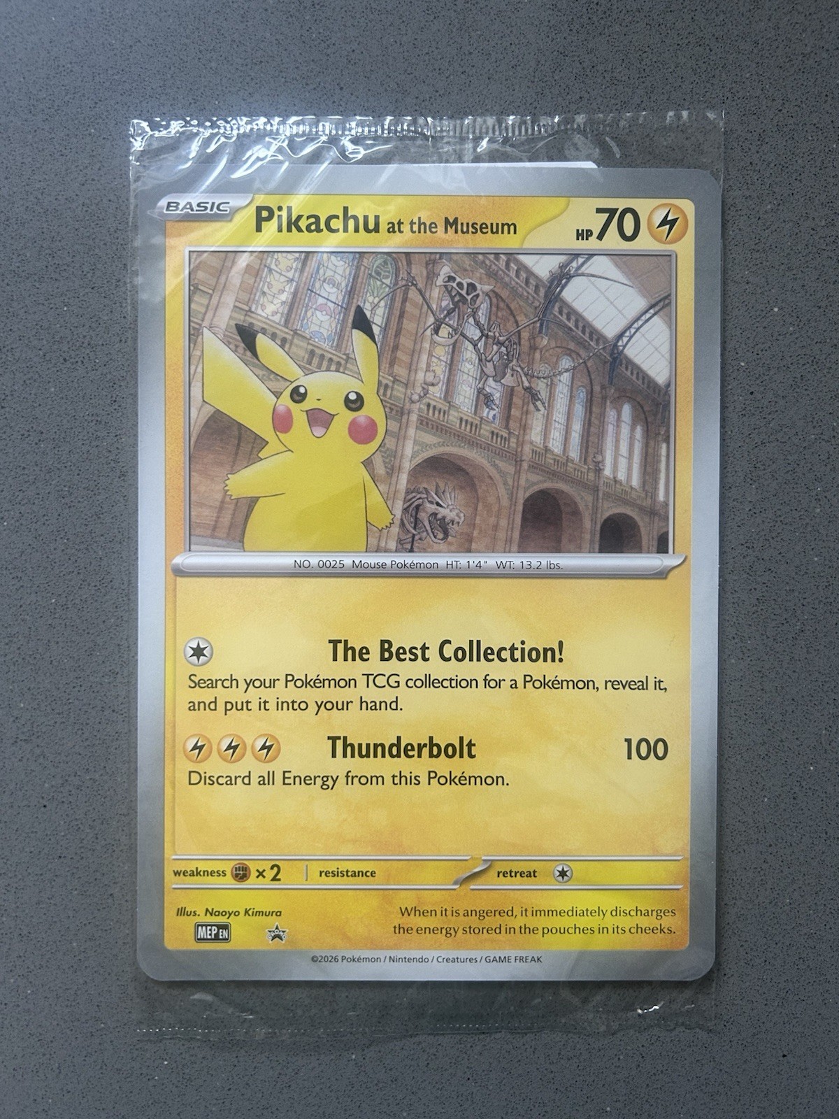 Pikachu At The Museum, Pokémon X Natural History Museum Jumbo Promo Pokémon Card