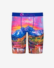 [BRAND NEW] ETHIKA MENS MAGIC MUSHIEZ STAPLE BOXER BRIEF MLUS3161