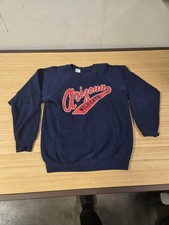 Vintage Arizona Wildcats Sweater Mens Large Blue College Football Crewneck