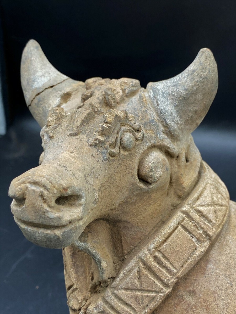 Antique Harappan Indus Valley Civilization Terracotta Cow Figure