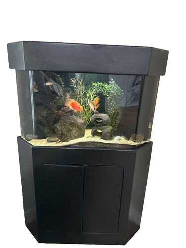 AQUARIUS 2.5 Gallon Corner LED LIGHT Aquarium Kit with Mini Filter