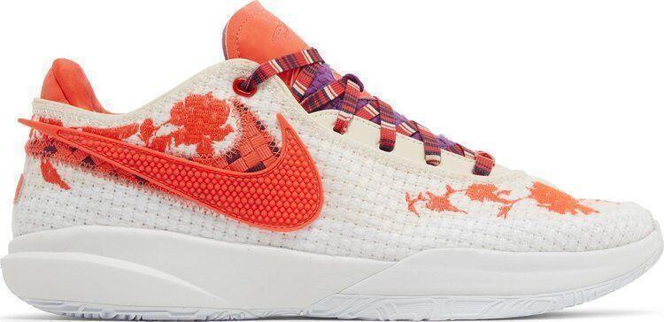 Size 11 - Nike Mimi Plange x LeBron 20 Premium Ceremony for