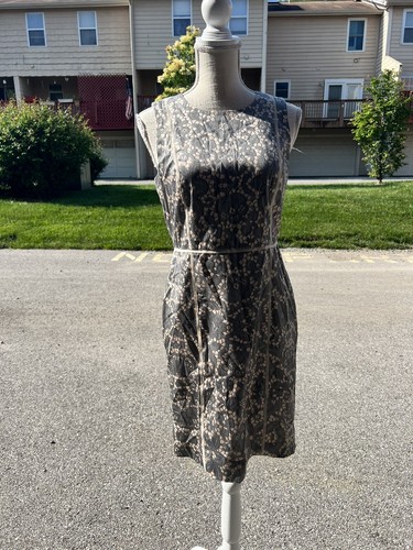 Ann Taylor Sleeveless Sheath Dress 6P