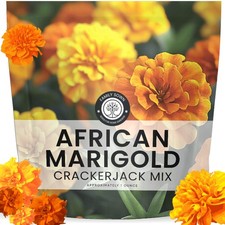 African Marigold Crackerjack - Large 1 Ounce Packet - 10,000 Flower Seeds for... 245.92 per gallon