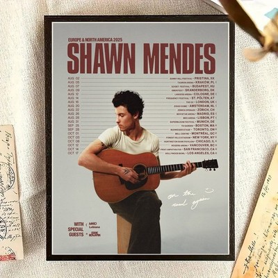 Shawn Mendes まとめ売り SHAWN MENDES On The Road Again 2025 Europe & North America Poster