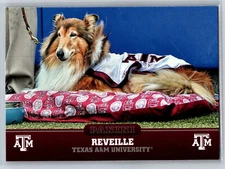 2015 Panini Collegiate Texas A&M Reveille Mascot #1