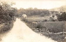 CEDAR GROVE Indiana postcard RPPC White water valley view of The Pike trail road