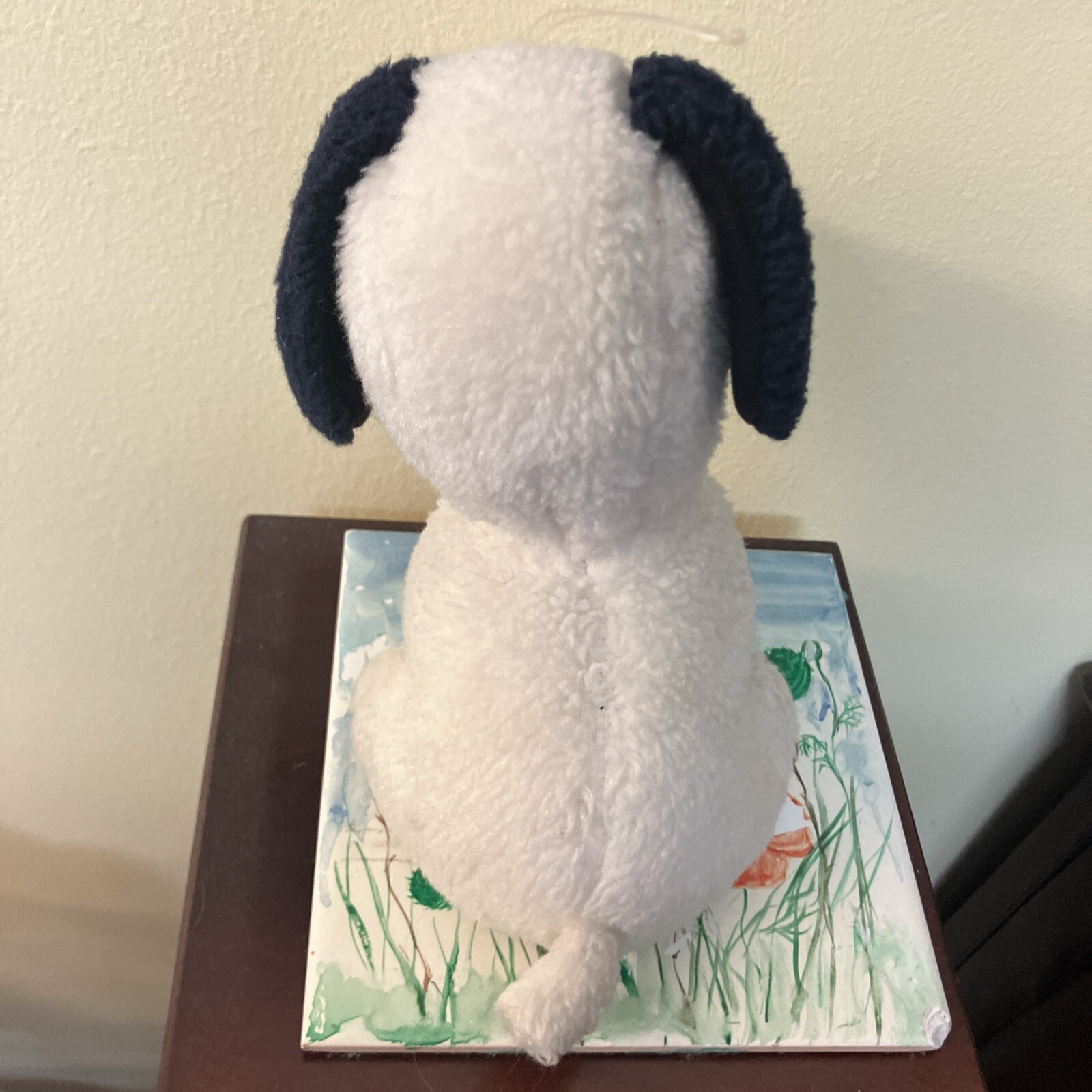 Picture 5 of 12