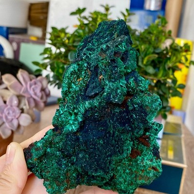 343g Natural Velvet Malachite Gorgeous Green Needles Mineral Specimens Healing