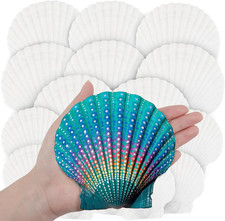 18PCS White Large Scallop Purely Natural Seashells 4-5in and Medium Shells 2-3in