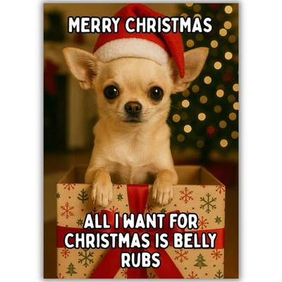 HAIRY DUCK PRINTS Cute Chihuahua Dog Christmas Card For Him Her Friend Man Woman Xmas Belly Rubs