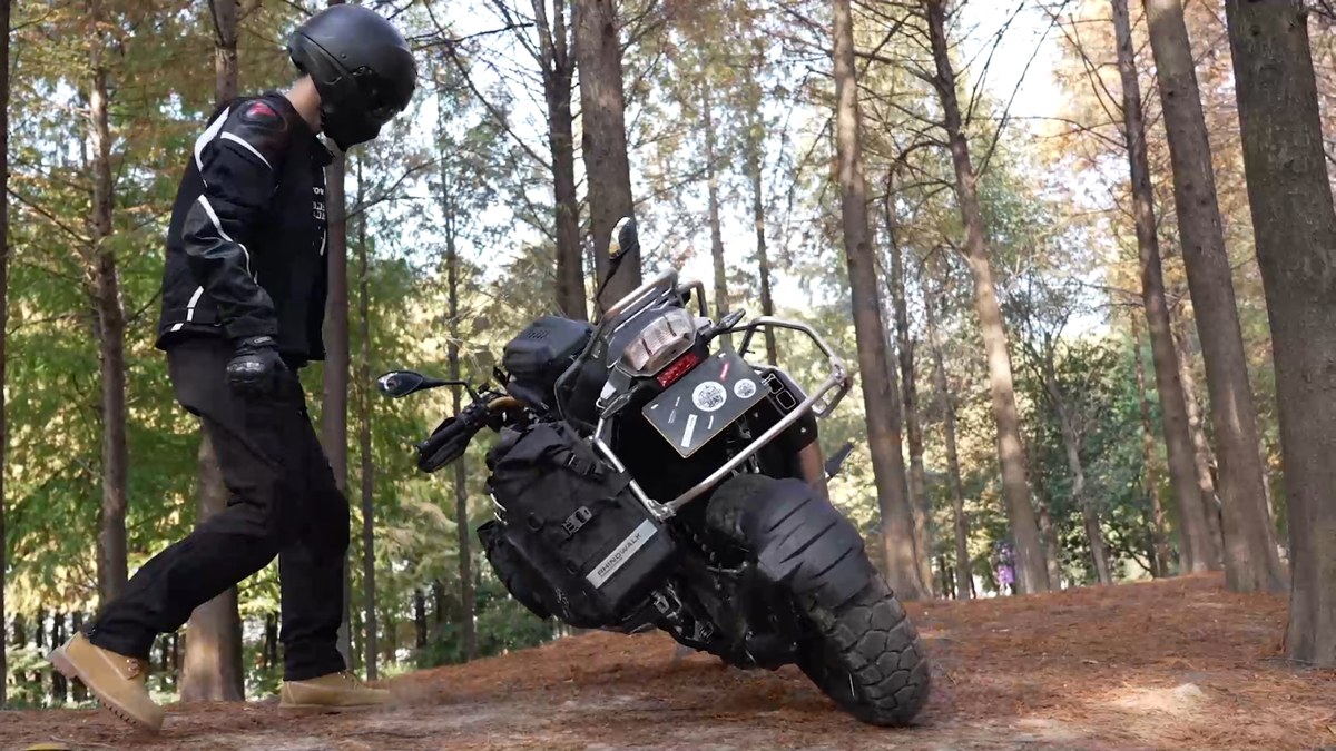 Rhinowalk Motorcycle Side Bag 25L Waterproof Quick Release Saddle