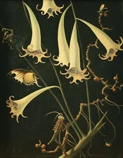 Franz Sedlacek Flowers and Insects 1939 17"x 22" Archival Art Print