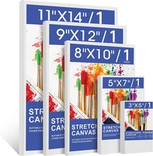 Stretched Canvas, Canvases for Painting Multi 5 Pack 3X5,5X7,8X10,9X12,11X14(1 o