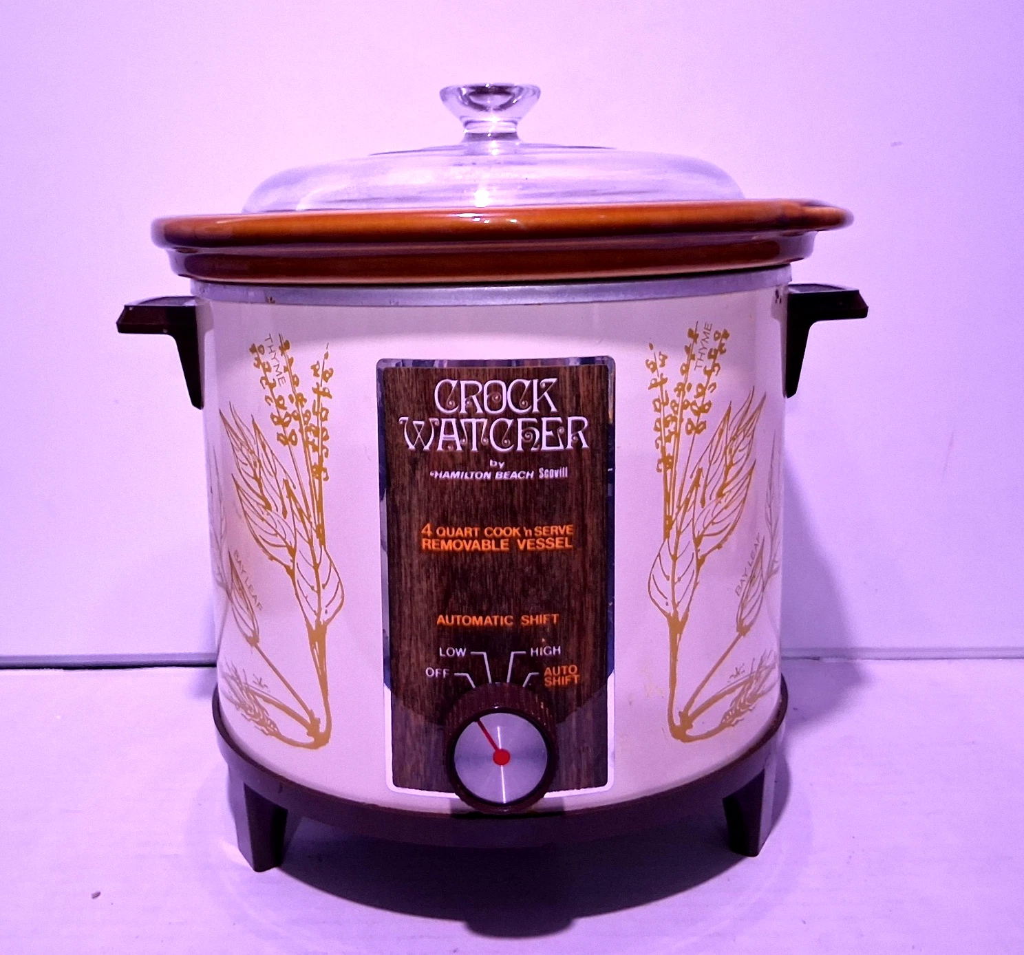 VTG Hamilton Beach Crock Watcher 6 Qt Slow Cooker Model 417 Herb Pattern WORKS