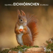 Tushita Publishing, Squirrels 2026 Wall Calendar