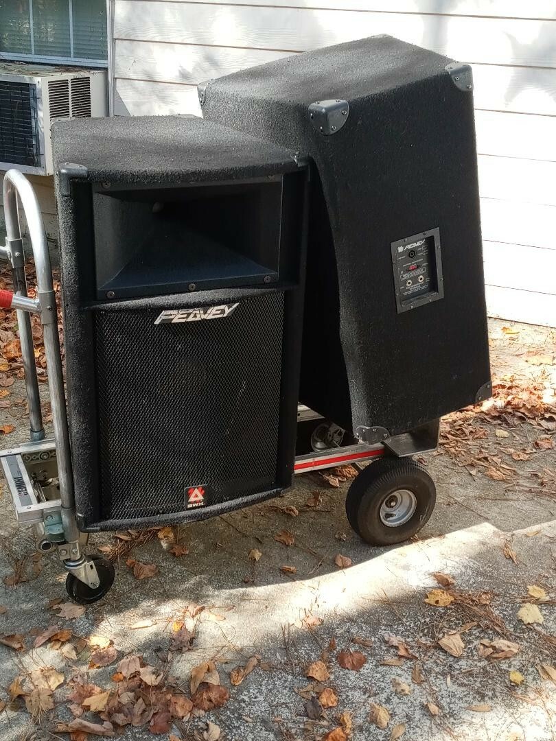 Best kept Peavey speakers 15