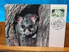 First Day Cover Postcard📮1992 (60c) Harden NSW AUSTRALIAN WILDLIFE 📮 AUST POST