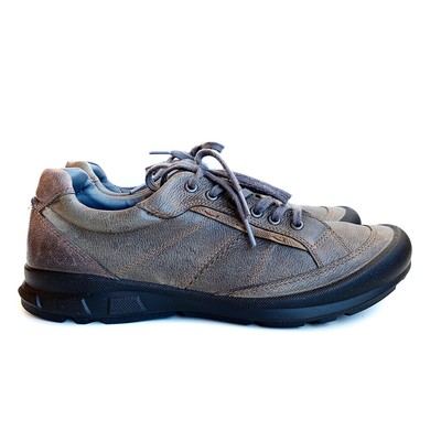ecco receptor olive
