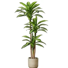 Artificial Plants 5ft Fake Dracaena Tree in Black Plastic Pot Home Decor Office