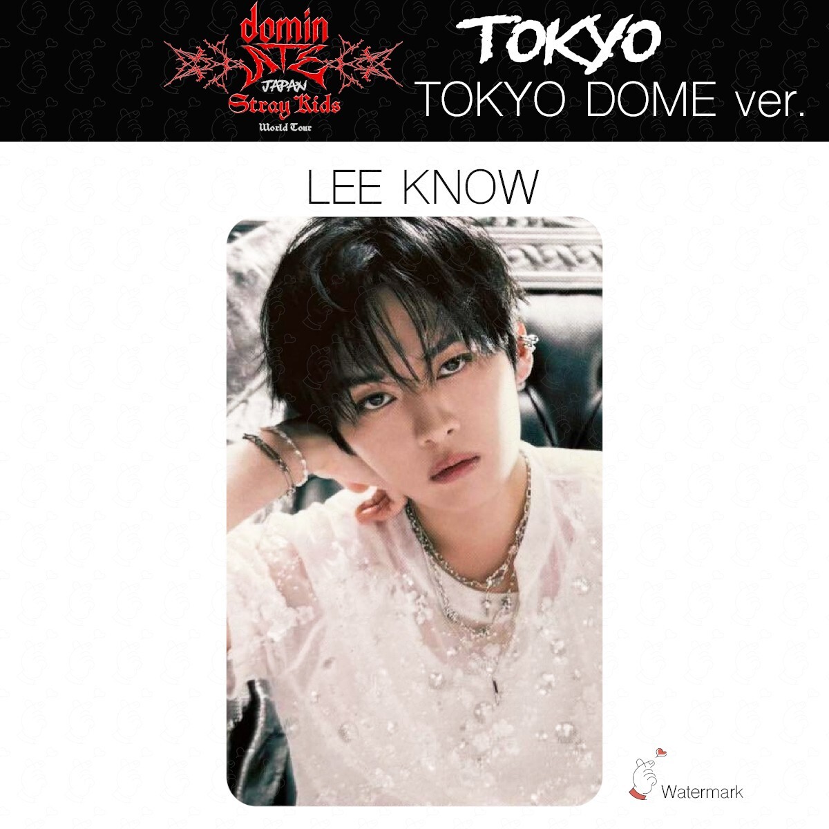 Stray Kids Tour dominATE JAPAN TOKYO Date limited photocard Stray Kids Tour dominATE JAPAN TOKYO Date limited photocard