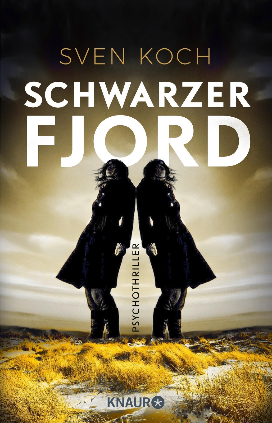 Thumbnail - Sven Koch / Schwarzer Fjord / 9783426523490