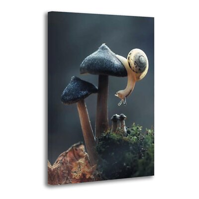Snail on Mushroom Poster Prints nature Botanical Photography Canvas