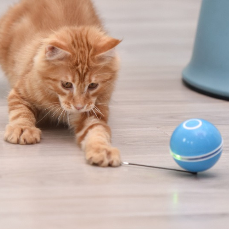 Jouet Interactif Pour Chat - Balle Rotative à 360 Degrés Avec Lumières LED - Jouet Intelligent Pour Animal