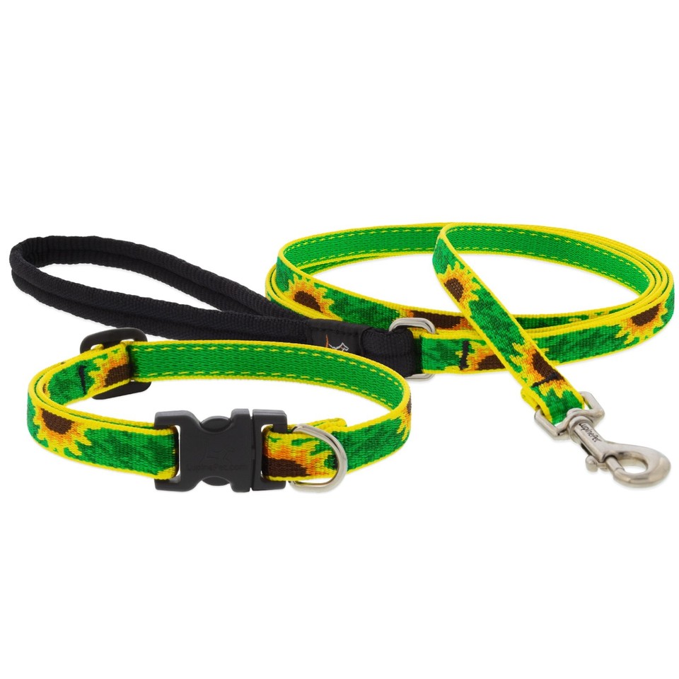 Lupine Lifetime LIMITED EDITION Dog Collars Or Leashes 1 2 SUNFLOWERS lupine-lifetime-limited-edition-dog-collars-or-leashes-1-2-sunflowers