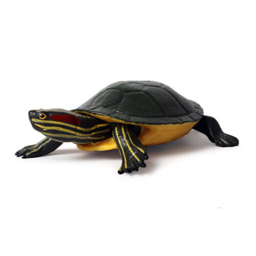 Animals Figures Brazilian Turtle Realistic Wildlife Creatures Figurines Baby Toy