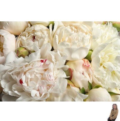 Floral Wallpaper Wall Mural **NOT PEEL & STICK**  141 W x 96 H