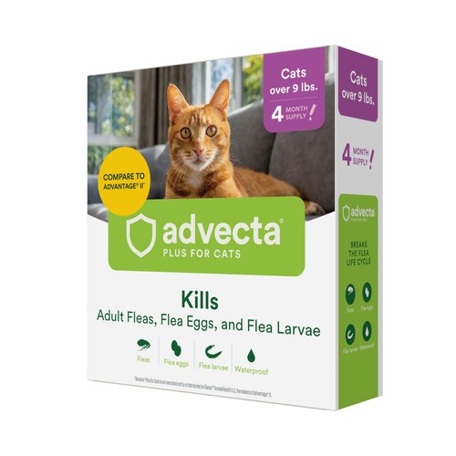 Plus Flea Prevention For Cats, Cat and Kitten Treatment & Control ... - Pediatric Kitten Flea Preventatives For Hot Summer