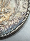 1882-P $1 Morgan Dollar DOUBLED DIE REVERSE DDR Silver US Coin TONING! LUSTER!