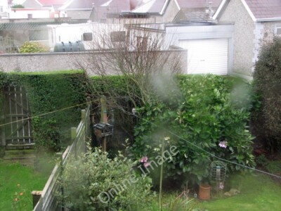 Foto 6x4 Spatz-Falke auf Uhr Portrush Warten auf einige ahnungslose so c2011